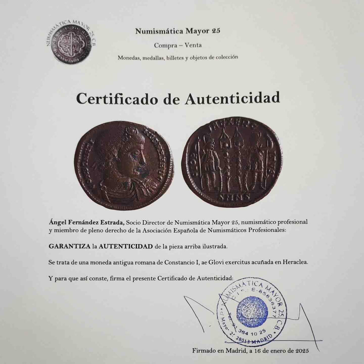 Pendientes SPQR
