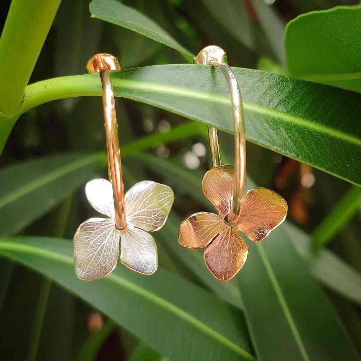 Conjunto Hydrangea - Sophie's in Jupiter