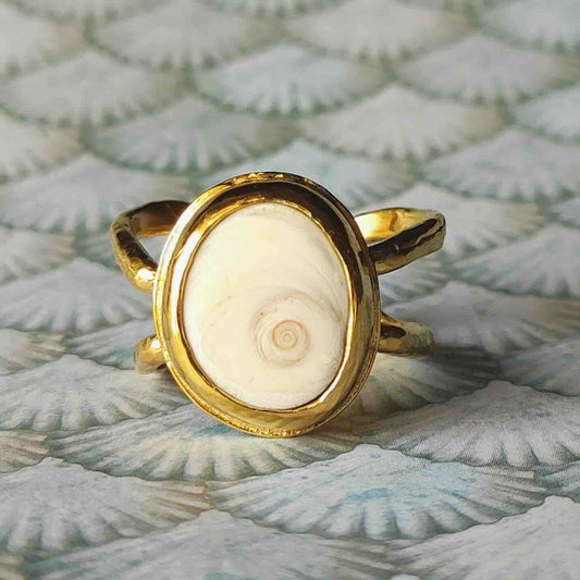 Lucky Bean Ring (Sea Ear)