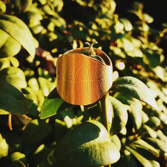 Leaf Ring