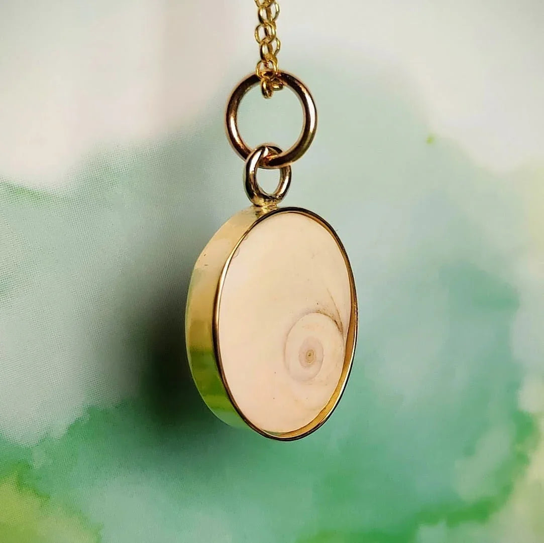 Colgante Orejita de la Suerte (Orejita de Mar)