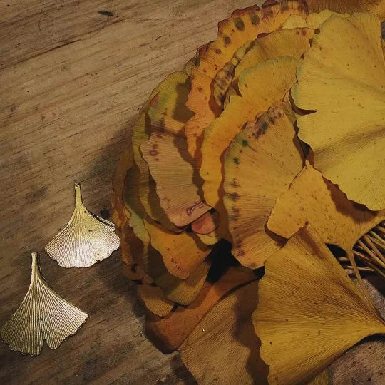 Boucles d'oreilles Ginkgo Biloba