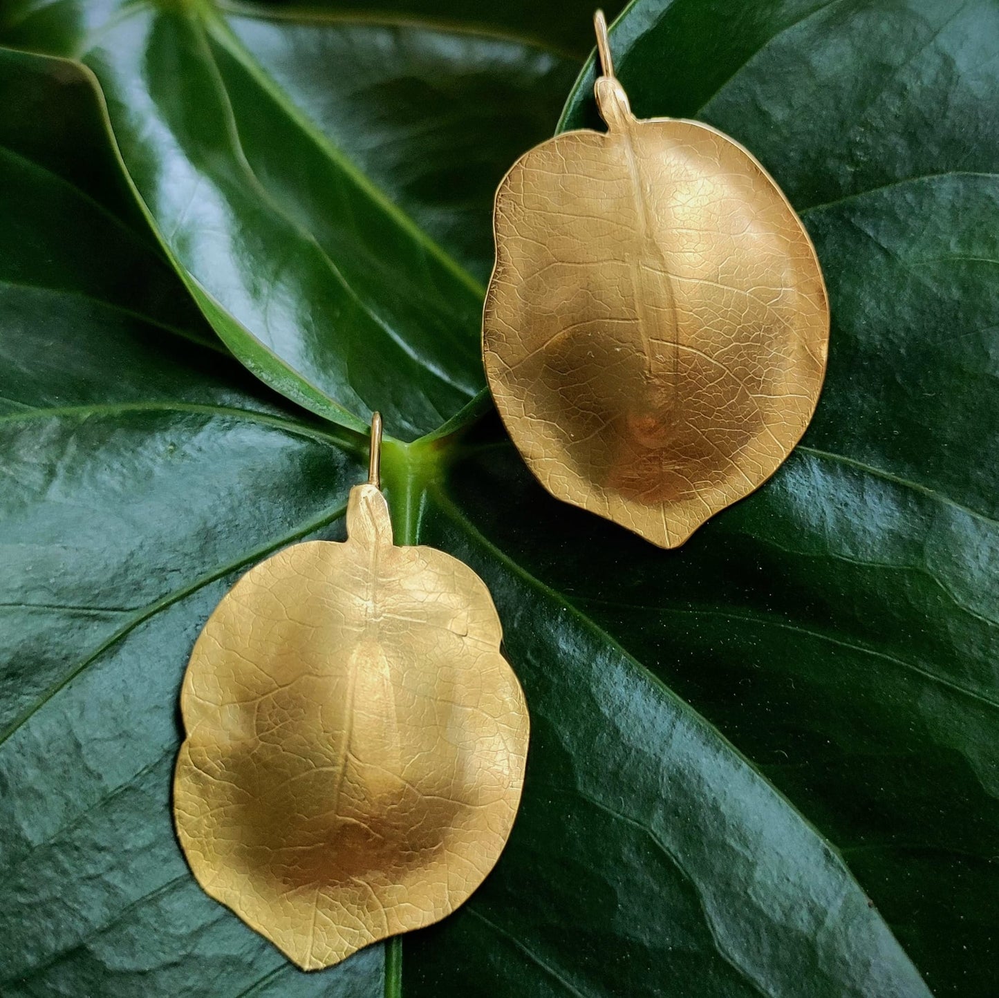 Pendientes Flor de Buganvilla