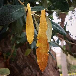 Pendientes Hojas de Olivo - Sophie's in Jupiter